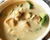 我が家の定番!簡単グリーンカレー作り方11写真