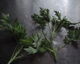 ヨモギのペースト作り方1写真