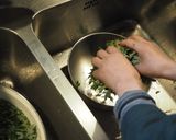 ヨモギのペースト作り方5写真