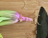 無駄なく丸ごと!根付きほうれん草のソテー作り方1写真
