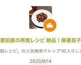 菱田屋の再現レシピ 絶品！麻婆茄子作り方10写真