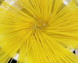 トマトジュースで作るトマトクリームパスタ作り方7写真