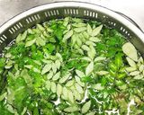 食がすすむ 爽やか山椒の葉の佃煮作り方1写真