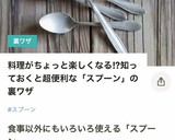 スプーンで簡単！キウイ皮むきのコツ作り方8写真