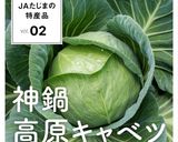 ロールキャベツ風サーモンおにぎり作り方7写真