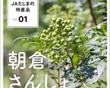 朝倉さんしょ薫る牛しぐれ煮おにぎり作り方5写真