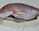 鯛の塩釜焼作り方3写真