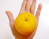 鶏胸ソテーの柚子みぞれ煮作り方13写真