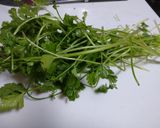 パクチーのシンプルサラダ作り方1写真