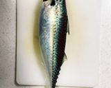 若狭湾で釣り上げた鯖で作った〆さば作り方1写真