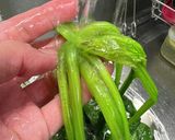 時短！ほうれん草の加熱方法作り方6写真