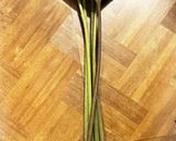 ふきの下ごしらえ作り方1写真