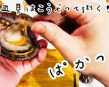 最強の珍味！赤皿貝の捌き方と美人なめろう作り方3写真