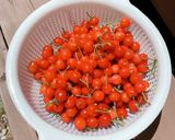 飲む牛乳かん。シャリシャリさくらんぼ牛乳作り方1写真