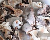 GABANでとろとろ牛すじスパイスカレー作り方8写真