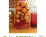 20禁　梅酒の梅2粒でちょびっと梅ジャム作り方9写真
