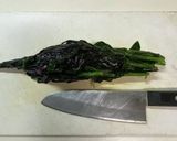ポリフェノールたっぷり♪水前寺菜のお浸し作り方10写真
