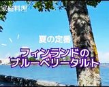 【フィンランド】ブルーベリータルト作り方11写真