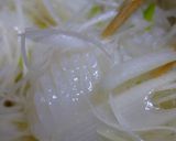 烏賊生姜和え作り方18写真