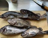 ソイの漬け作り方1写真