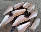 のどくろの炙り刺身作り方2写真
