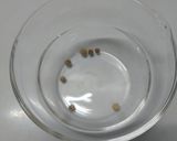 お刺身の塩胡椒和え作り方2写真