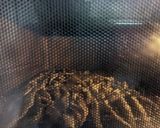 カタクチイワシの煮干しの作り方作り方5写真