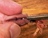 とっても食べやすくなる！ホタルイカ下処理作り方3写真