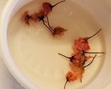 ちらし寿司作り方21写真