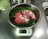アイヌネギたっぷり餃子作り方8写真