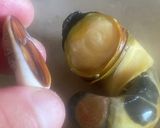 元魚屋が教える!栄螺の炊き込みご飯作り方5写真