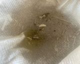 元魚屋が教える!栄螺の炊き込みご飯作り方12写真