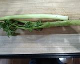 ウドの酢漬け　～常備菜～作り方2写真