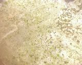 真鱈ムニエルのレモンバターソースかけ作り方8写真