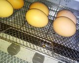 コンベクションオーブンで温泉卵作り方1写真