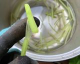 元祖！きゃらぶき下処理（蕗の下ごしらえ）作り方9写真
