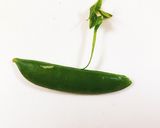 スナップエンドウの美味しい食べ方作り方1写真