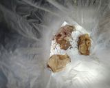 唐揚げ作り方5写真