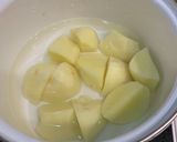 じゃがいもと新玉ねぎの甘辛煮作り方1写真