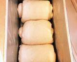 自家製天然酵母の食パン作り方7写真