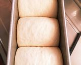 自家製天然酵母の食パン作り方8写真