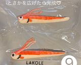 リュウグウノツカイ　のお弁当作り方9写真