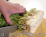 【絶品】「豚バラと豆苗のオイスター炒め」作り方1写真