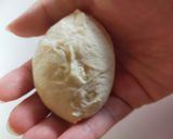 ドイツパン カイザーゼンメル作り方17写真