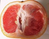 簡単パーティ♪おしゃれなエビのカクテル作り方1写真
