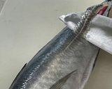 【和食の基本】アジの三枚おろしの方法作り方2写真