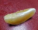 みかんの背開き作り方7写真