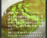 ニラ玉　グリーン　ガーリックオムライス作り方18写真