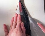 【和食の基本】アジの三枚おろしの方法作り方9写真