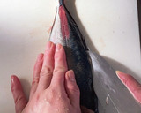【和食の基本】アジの三枚おろしの方法作り方9写真